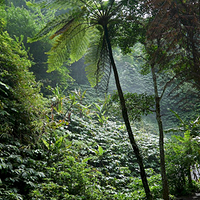 Photo de Bali - Autour de Munduk